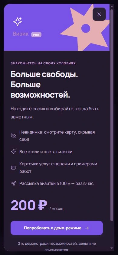 Визик: Возможности Pro · тестовая сборка